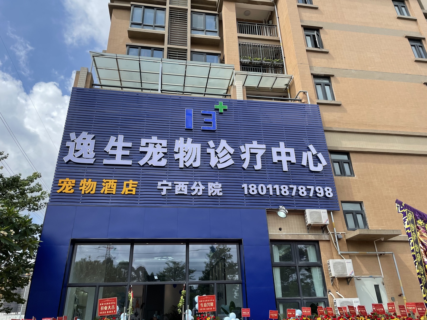 2026广州增城宠物医院去哪好？逸生宠物医院24小时急诊不踩坑